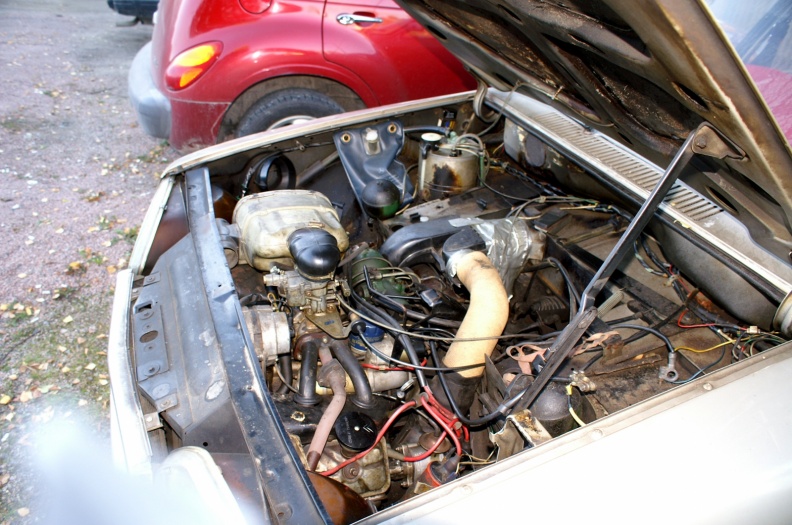 GS Brk3.JPG